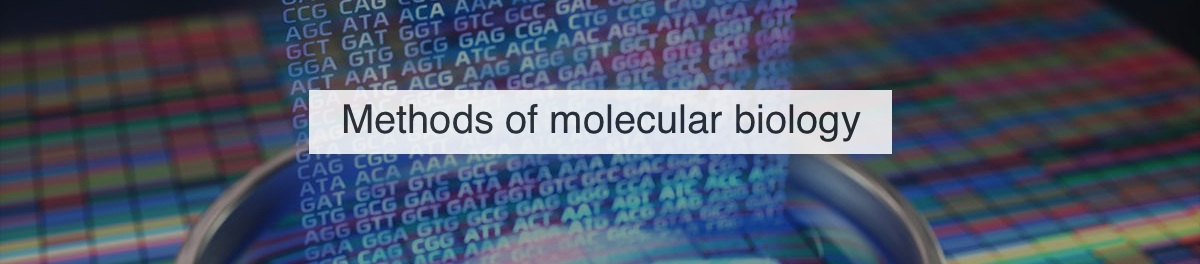 molecular biology phd reddit