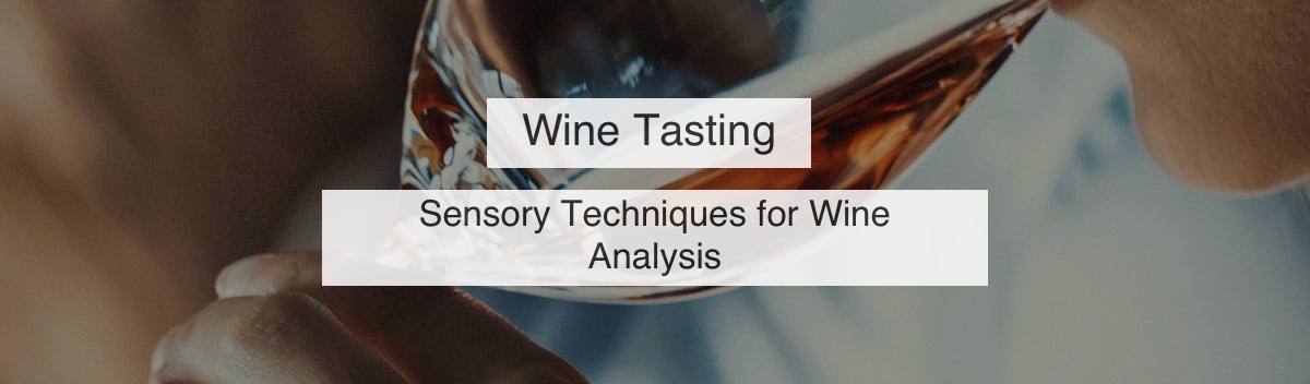 Wine Tasting: Sensory Techniques for Wine Analysis