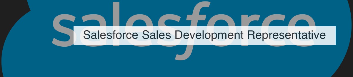 reddit-comments-on-salesforce-sales-development-representative