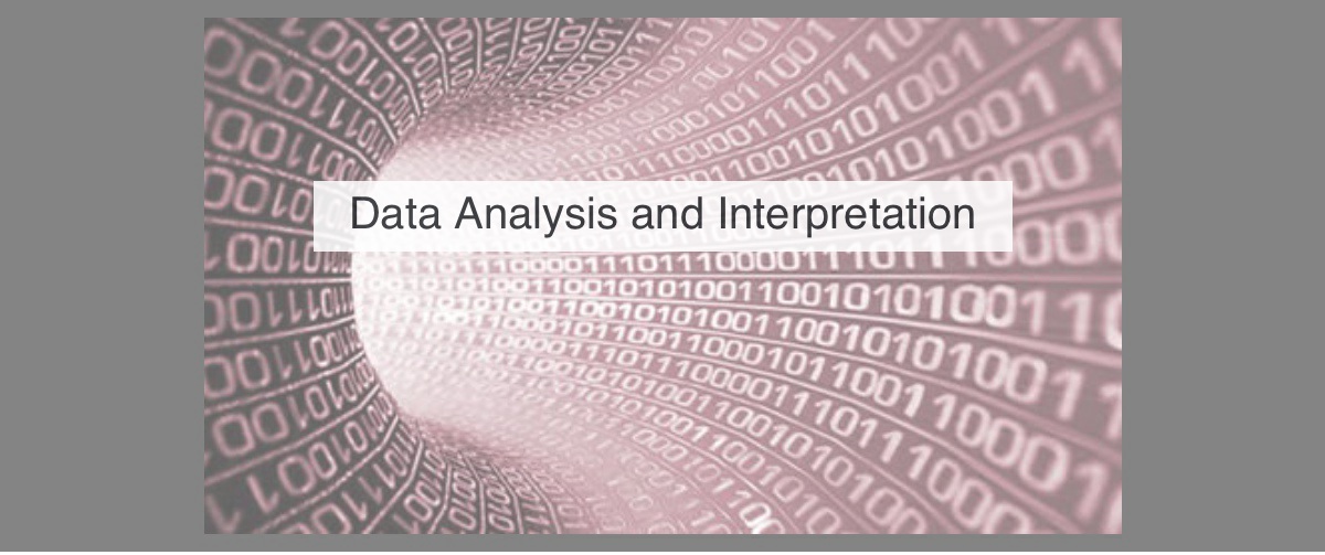 data analyst presentation reddit